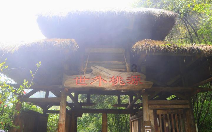 逃离潮湿的房屋